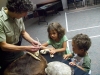 Katherine and Aiden Baskersville, 4 and 2 respectively, get a lesson about deer antlers from Park Ranger Becky Holliday at the Wetland Discovery event June 30 at Newport News (Va.) Public Library System's Grissom branch. Credit: Mike Wagner/Newport News Public Library System